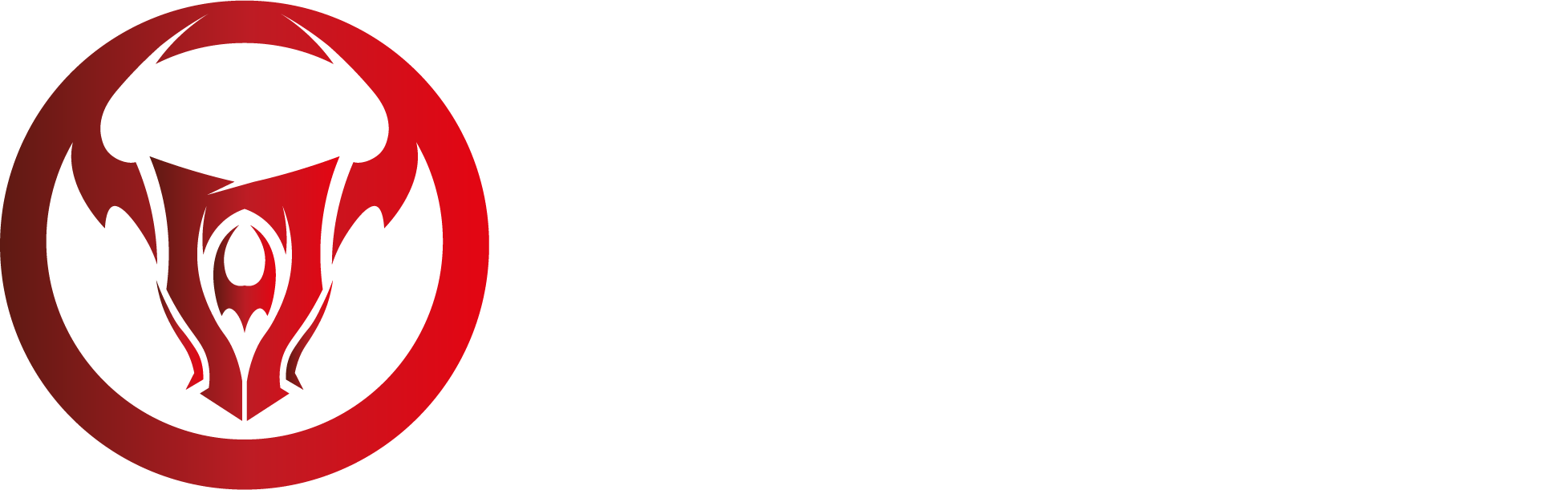 Ghost Global Limited